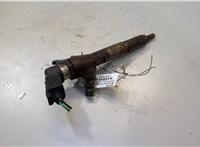  Форсунка топливная Ford Focus 2 2008-2011 20485220 #1