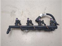 8200505191 Форсунка топливная Renault Scenic 2003-2009 20485324 #9