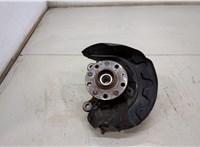 8V0498625, 5Q0407255Q Ступица (кулак, цапфа) Audi A3 (8V) 2012-2020 20485409 #1