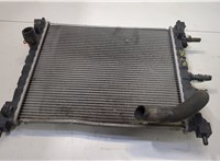  Радиатор охлаждения двигателя Chevrolet Spark 2009-2016 20485441 #1