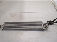  Радиатор масляный Volkswagen Tiguan 2016-2020 20485457 #1
