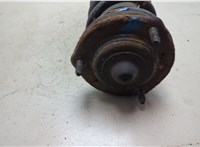 4853059065, 4823150060 Амортизатор подвески Lexus LS400 UCF10 1989-1994 20485492 #8