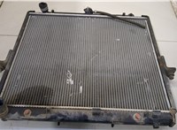 21410EB31B Радиатор охлаждения двигателя Nissan Navara 2005-2015 20485598 #1