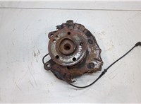  Ступица (кулак, цапфа) Mercedes Vito W639 2004-2013 20485713 #1