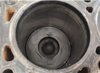  Блок цилиндров (Шорт блок) Ford Transit 2000-2006 20485829 #9