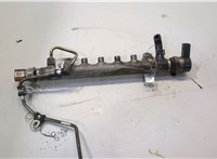  Рампа (рейка) топливная Volkswagen Tiguan 2007-2011 20485840 #1