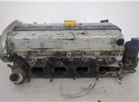  Головка блока (ГБЦ) Opel Omega B 1994-2003 20486063 #8