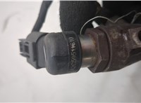  Форсунка топливная Ford S-Max 2006-2010 20486415 #6