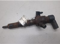  Форсунка топливная Ford S-Max 2006-2010 20486417 #1