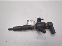  Форсунка топливная Ford S-Max 2006-2010 20486418 #1