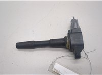  Катушка зажигания Dacia Sandero 2013-2020 20486444 #1
