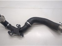  Патрубок интеркулера Dacia Sandero 2013-2020 20486446 #2