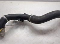  Патрубок интеркулера Dacia Sandero 2013-2020 20486446 #4