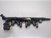  Форсунка топливная Fiat Punto Evo 2009-2012 20486688 #1