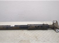  Амортизатор подвески Peugeot 207 20487028 #1
