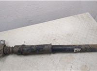  Амортизатор подвески Peugeot 207 20487034 #2