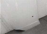  Обшивка капота Ford Transit (Tourneo) Connect 2002-2013 11439235 #11