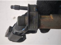 A6420700587 Форсунка топливная Mercedes S W221 2005-2013 20487147 #2