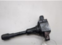 22448JA10C Катушка зажигания Nissan Murano 2008-2015 20487290 #1