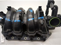  Коллектор впускной Seat Ibiza 3 2001-2008 20487447 #1