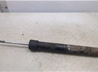  Амортизатор подвески Land Rover Range Rover 3 (LM) 2002-2012 20487481 #1