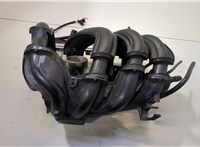  Коллектор впускной Ford Fiesta 2001-2007 20487716 #1