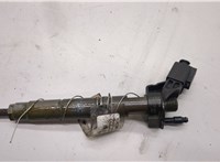 A6420701387 Форсунка топливная Mercedes ML W164 2005-2011 20487737 #1