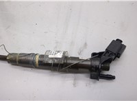 A6420701387 Форсунка топливная Mercedes ML W164 2005-2011 20487741 #1