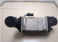 04E145785L Радиатор интеркулера Volkswagen Taos 20488451 #7