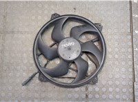  Вентилятор радиатора Peugeot Partner 2002-2008 20488816 #1
