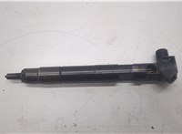  Форсунка топливная Mercedes E W212 2009-2016 20488891 #1