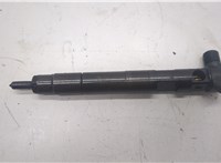  Форсунка топливная Mercedes E W212 2009-2016 20488892 #1