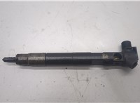  Форсунка топливная Mercedes E W212 2009-2016 20488893 #1
