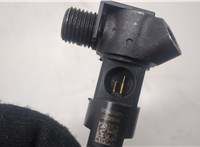  Форсунка топливная Mercedes E W212 2009-2016 20488896 #2