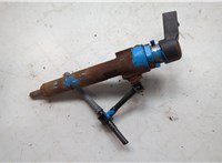  Форсунка топливная Ford Transit (Tourneo) Connect 2002-2013 20489280 #2