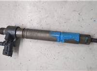 1980J8, 0445115025 Форсунка топливная Peugeot 407 2004-2011 20489779 #2