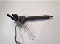  Форсунка топливная Mercedes C W203 2000-2007 20489792 #1