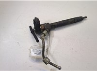  Форсунка топливная Mercedes C W203 2000-2007 20489793 #1