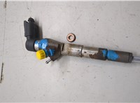 166008052R, 8200704191 Форсунка топливная Dacia Duster 2010-2017 20490049 #1