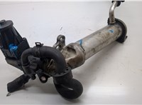  Клапан рециркуляции газов (EGR) Ford Transit 2006-2014 20490175 #5