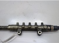  Рампа (рейка) топливная Ford Transit 2006-2014 20490185 #1