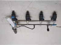  Форсунка топливная Opel Zafira A 1999-2005 20490186 #1