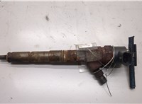  Форсунка топливная Opel Astra J 2010-2017 20490204 #1