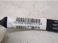  Подушка безопасности боковая (шторка) Volvo XC60 2008-2017 20490548 #2