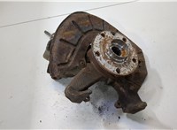  Ступица (кулак, цапфа) Skoda Yeti 2009-2018 20491156 #1