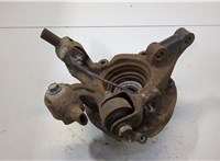  Кулак поворотный Lexus RX 2003-2009 11440957 #1