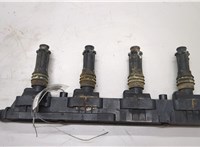  Катушка зажигания Opel Corsa D 2006-2014 20491258 #1