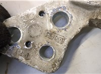  Петля двери Peugeot Partner 2008-2012 20491400 #2