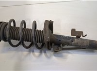  Амортизатор подвески Ford Focus 2 2005-2008 20491865 #1