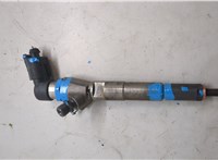 166008052R Форсунка топливная Renault Scenic 2009-2012 20491896 #1